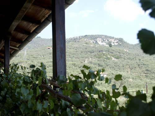 קאלה נרה Hotel Figalia חדר תמונה